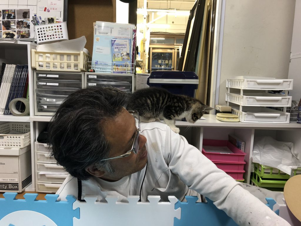 谷川の方にのる子猫ちゃん