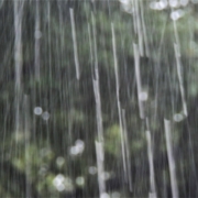 ゲリラ豪雨
