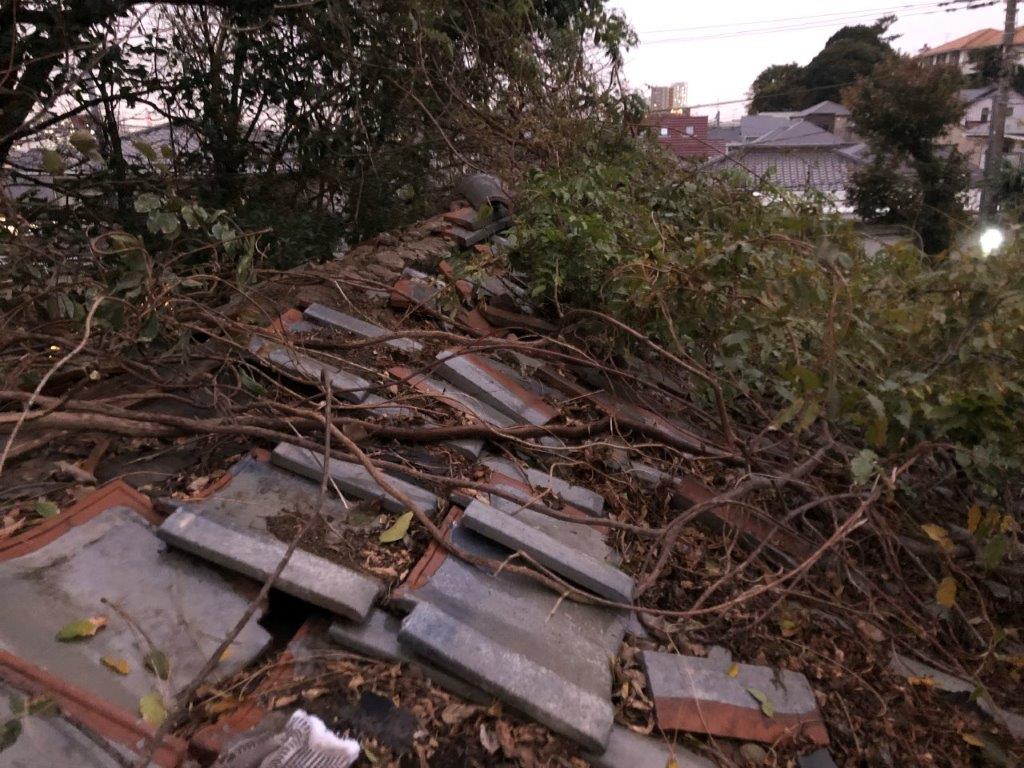 樹木が覆いかぶさった屋根